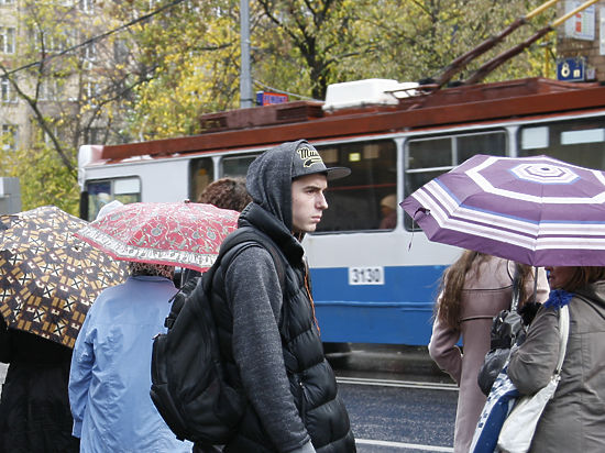Реестр учащихся москвы проверить онлайн москва школа